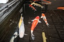 IMG 0473