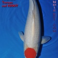 12007