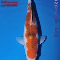 12020