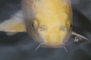 IMG 9054