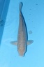 IMG 8335