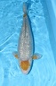 IMG 8379