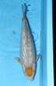 IMG 8386