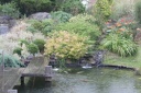 IMG 8805