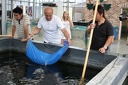 IMG 8818
