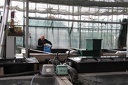 IMG 3463
