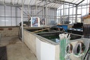 IMG 3465