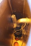 IMG 2571