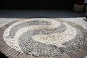 IMG 8092