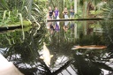 IMG 8097