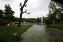 IMG 8105