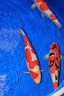 IMG 2879