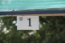 IMG 2754
