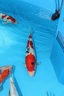 IMG 3686