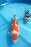IMG 3693
