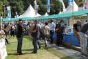 IMG 5868