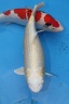 IMG 0019
