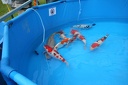 IMG 4028