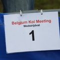 Belgium koi meeting 2008 0002