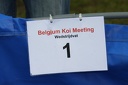 Belgium koi meeting 2008 0002