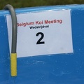 Belgium koi meeting 2008 0007