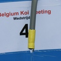 Belgium_koi_meeting_2008_0012.JPG