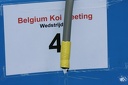 Belgium koi meeting 2008 0012