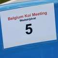 Belgium koi meeting 2008 0014
