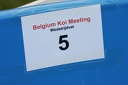 Belgium koi meeting 2008 0014