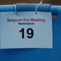 Belgium koi meeting 2008 0346
