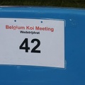 Belgium koi meeting 2008 0519