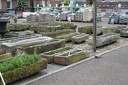 IMG 7162