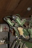 IMG 7186