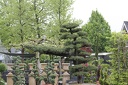 IMG 7190
