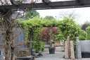 IMG 7191