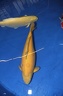 IMG 4325