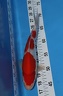 IMG 5395