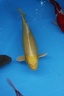 IMG 7458