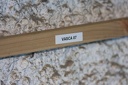 IMG 7465