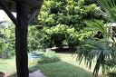 IMG 0252