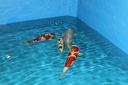 IMG 5240