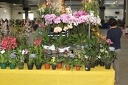 IMG 6906