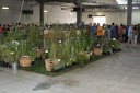 IMG 6908