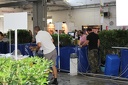 IMG 6915