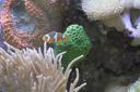 Aquarium