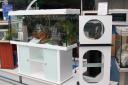 Vos aquariums