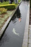 AQUAMARATHON 2012