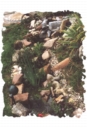 ruisseau