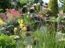 Photo015