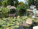 Photo016